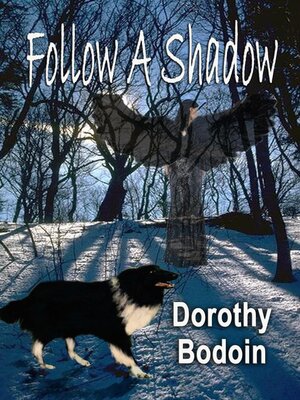 cover image of Follow a Shadow